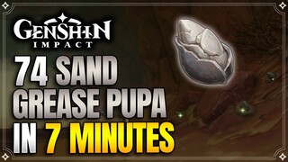 Sand Grease Pupa Locations | Fast and Efficient Farming Route | Ascension Materials【Genshin Impact】