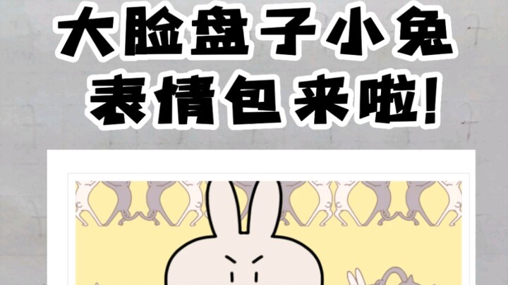 สติกเกอร์หน้าใหญ่ กระต่ายน้อย และแมวน้อยโง่ๆ