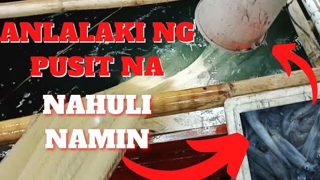 Nakahuli Kami ng Maraming Pusit sa Dagat | Sarap Pang-ulam | Mandaragat