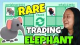 WHAT PEOPLE TRADE FOR ELEPHANT IN ADOPT ME *RAREST PET*