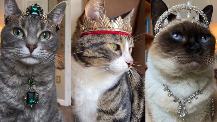 “Kamu boleh mencium kaki kananku”