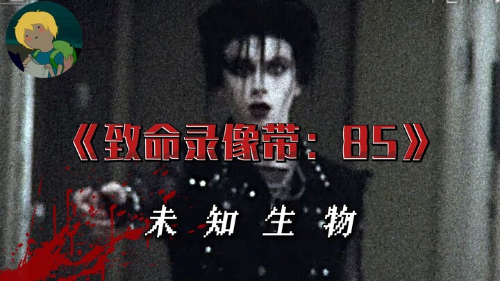 Bộ phim tài liệu giả tưởng đáng sợ nhất! “Tape 85: Đoạn băng tử thần”: Sinh vật bí ẩn, hồ nước bất t