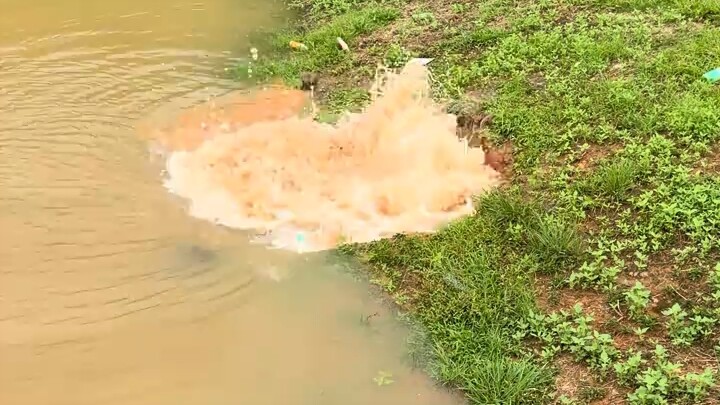 Even a thousand-mile dike can be breached by an ant’s nest.