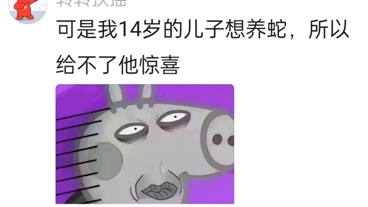 偷偷买个小狗，半夜送给儿子！