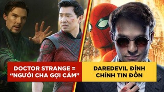 Phê Phim News: DOCTOR STRANGE chào đón SHANG-CHI gia nhập MCU | DAREDEVIL trở lại trong NO WAY HOME?