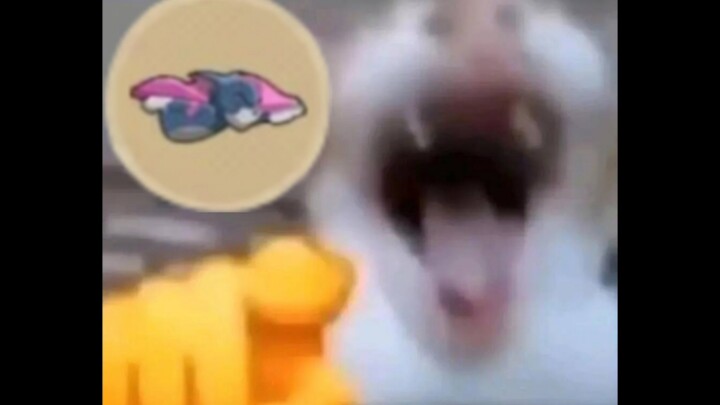 『Playing cat and mouse』8.0