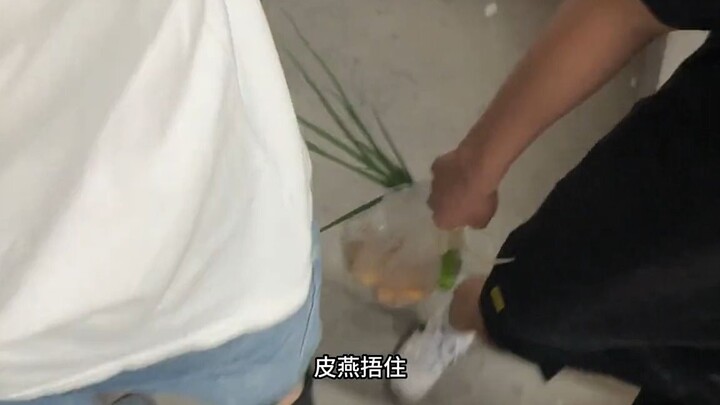 Damn it, I’ve got zero trust when I’m taking the stairs.