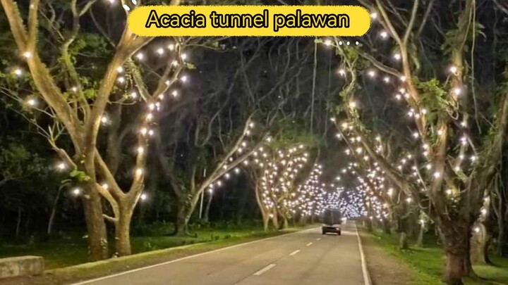 Acacia tunnel Puerto princesa palawan.