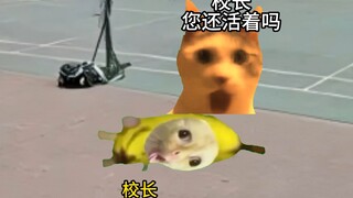 三顾校长 无处可逃！