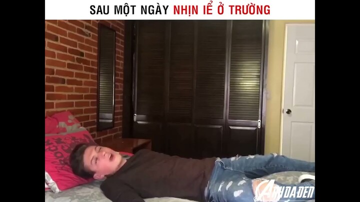 Sau Môt Ngày Nhịn Ỉa Ở Trường Kiểu