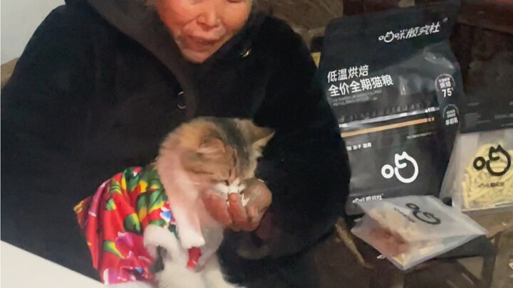 A cat that no one wanted was picked up by Grandma and cherished like a treasure.