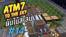 ตอน 14 กาวลาเท็กซ์ - All the Mods 7 To the Sky