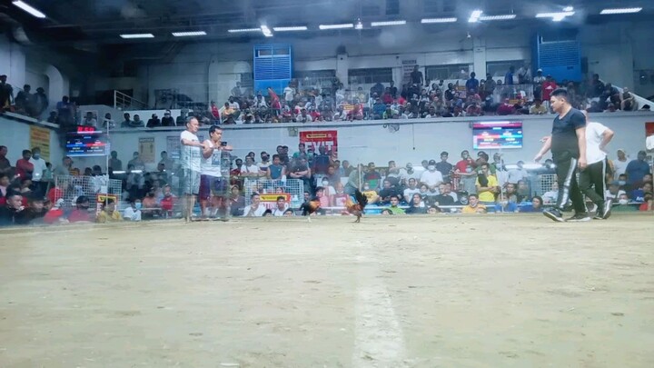 Pasay cockpit arena first fight talo Tayo mga idol