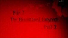 20. labyrint part 3