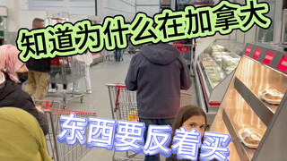 Para protagonis, apakah kalian ingin menjalani kehidupan di mana makan sayur lebih mahal daripada ma