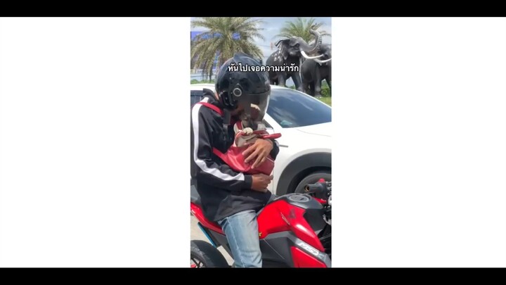 น่ารักกกก