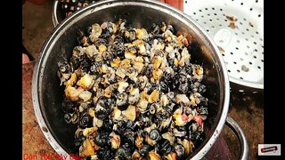 Ai Ngờ Ốc Bươu Vàng Nướng Lại Là Món Ăn Siêu Ngon  | Dân Tộc Tây Bắc