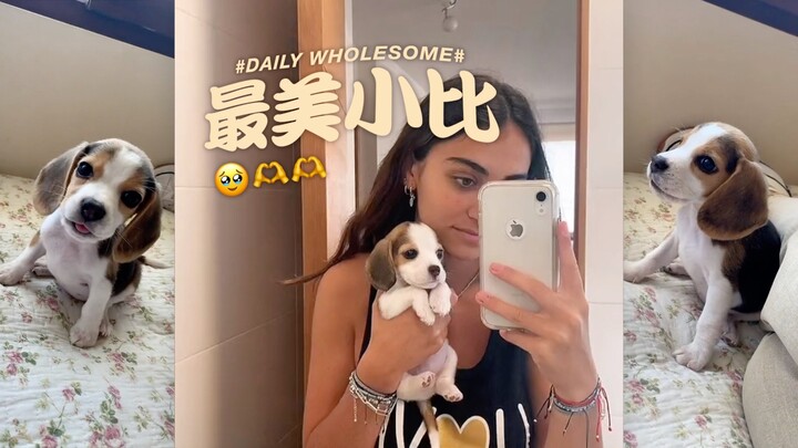 全宇宙最美小比