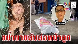 สลด! พิตบุลล์หลุดกรง ขย้ำยายวัย 67 ดับ เจ้าของลั่นเพิ่งเริ่มดุ | ทุบโต๊ะข่าว | 24/9/67