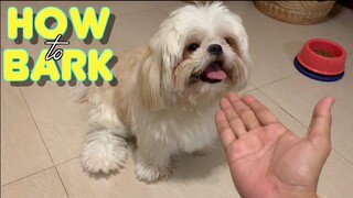 Shih Tzu Dog Teaches Furdad How To Bark ( Cute & Funny Dog Video )