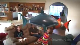 Shark baloon