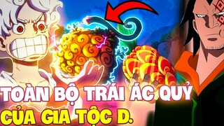 GIA TỘC D SỠ HỮU NHỮNG TRÁI ÁC QUỶ NHƯ THẾ NÀO?! | TOÀN BỘ SỨC MẠNH TRÁI ÁC QUỶ CỦA GIA TỘC D