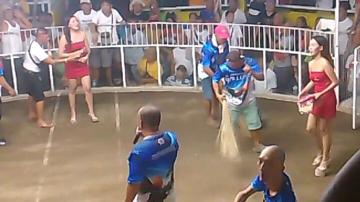 hindi completo ang sabong pag walang chikss 😂😂 #sabongero