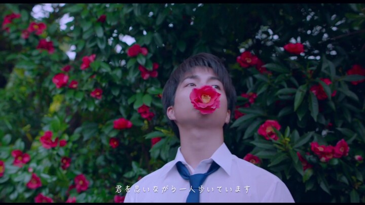 [Drama dan Film Jepang Mashup x Haru yo koi]Cinta adalah hal yang menyedihkan.