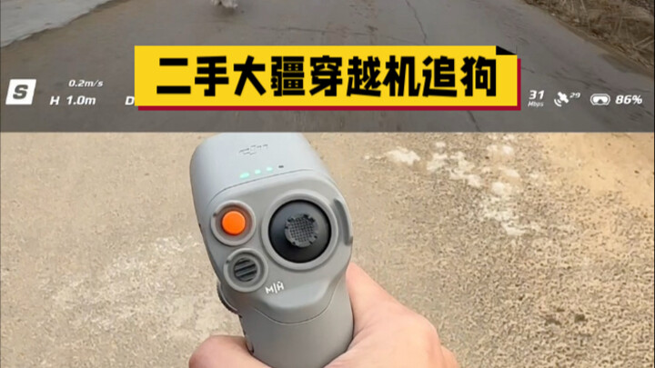 โดรน DJI มือสองไล่จับหมา