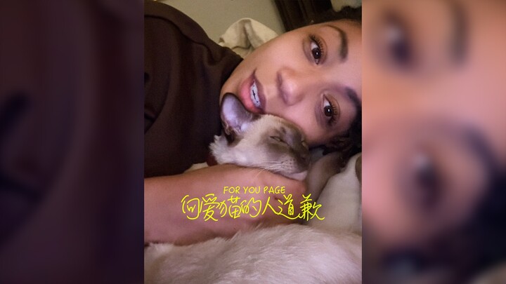 Saya salah, dengan sungguh-sungguh meminta maaf kepada para pencinta kucing‼️