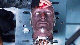 I didn't expect Vision to end up like this