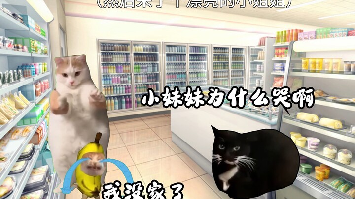 【Meme mèo】Một vài chuyện thời niên thiếu được hội sinh viên đại học hết mực cưng chiều