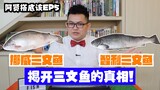 【阿贤搭底该EP4：挪威三文鱼vs智利三文鱼】