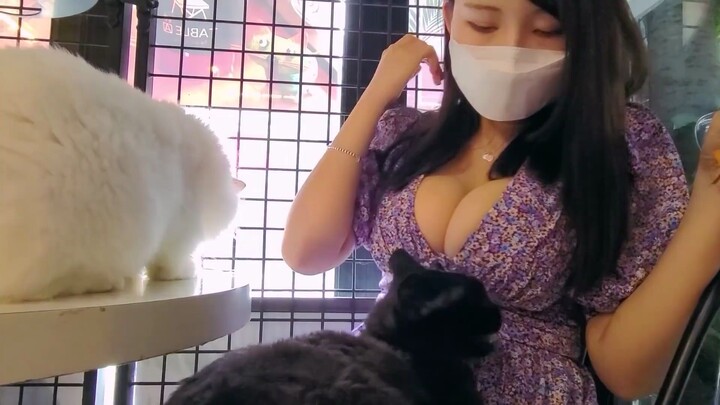 هيّا ننطلق! الأخت اللطيفة تصحبك إلى متجر الحيوانات الأليفة للمرح واللعب!