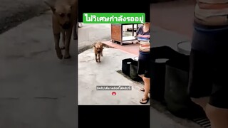ไม้วิเศษกำลังรออยู่