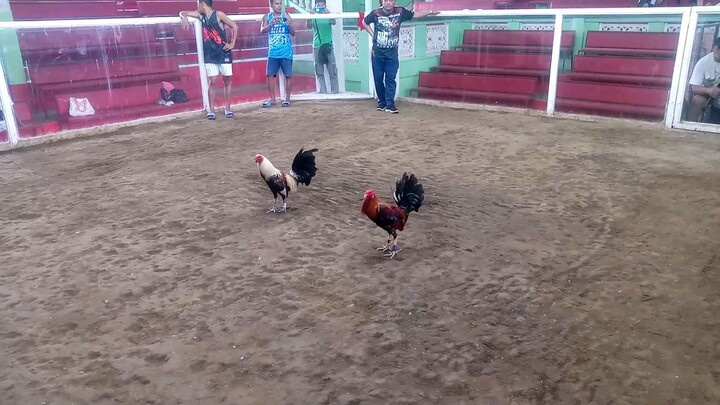 AbangLang1