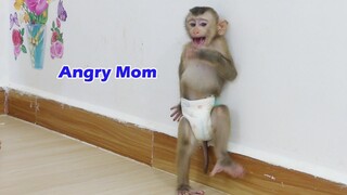 Wow Little Monkey Maki Cry Angry Mom Not Carry And Give Milk For Him