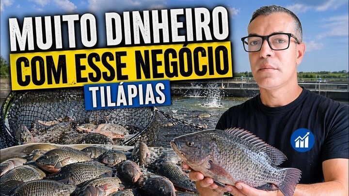 TILÁPIA | NEGÓCIO LUCRATIVO NO FUNDO DO SEU QUINTAL