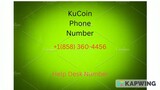 How do you connect Support to Kucoin? 🪔+𝟏(𝟖𝟓𝟖) 𝟑𝟔𝟎-𝟒𝟒𝟓𝟔