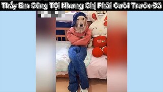 Xin lỗi em ngàn lần xin lỗi em #funny #haihuoc