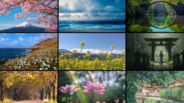 【Wallpaper Engine】Recommended beautiful natural scenery wallpapers