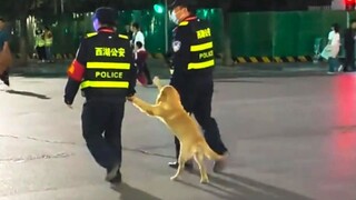 人 间 喜 剧 ❸ ❷