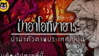 เรื่องเล่าญี่ปุ่น _ EP.03 ป่าอาโอกิงาฮาระ  (aokigahara forest) ป่าฆ่าตัวตายประเท