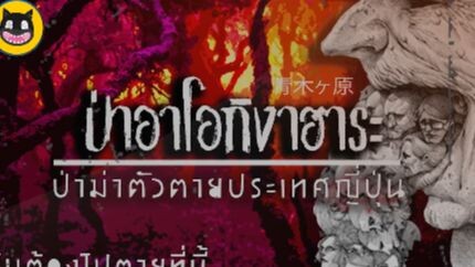เรื่องเล่าญี่ปุ่น _ EP.03 ป่าอาโอกิงาฮาระ  (aokigahara forest) ป่าฆ่าตัวตายประเท