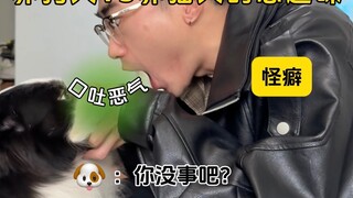 Selera Buruk Pemilik Anjing vs Pemilik Kucing