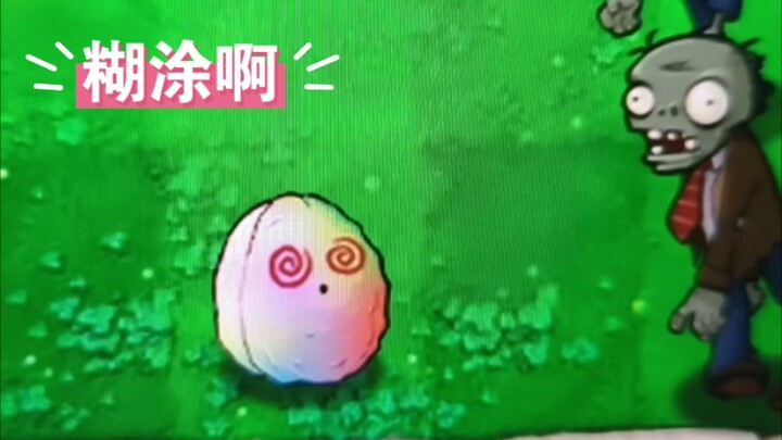 These little nuts are so tempting—until you see the price…