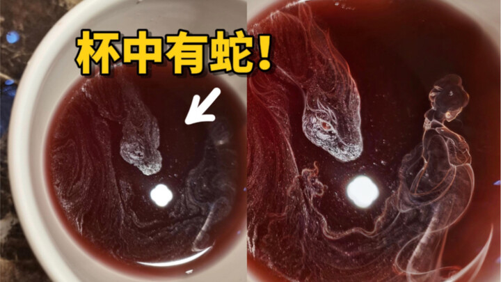 喝东西时，被杯子里的东西吓了一跳，难道这就是“杯弓蛇影”？？？｜万物有灵且萌 唯佳酱原创