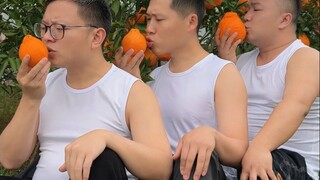 四川粑粑柑