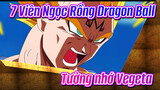 7 Viên Ngọc Rồng Dragon Ball|
Tưởng nhớ Vegeta