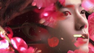 Xiao Zhan [Pujian untuk Bunga Plum Merah] MV buatan sendiri dengan sentuhan zaman